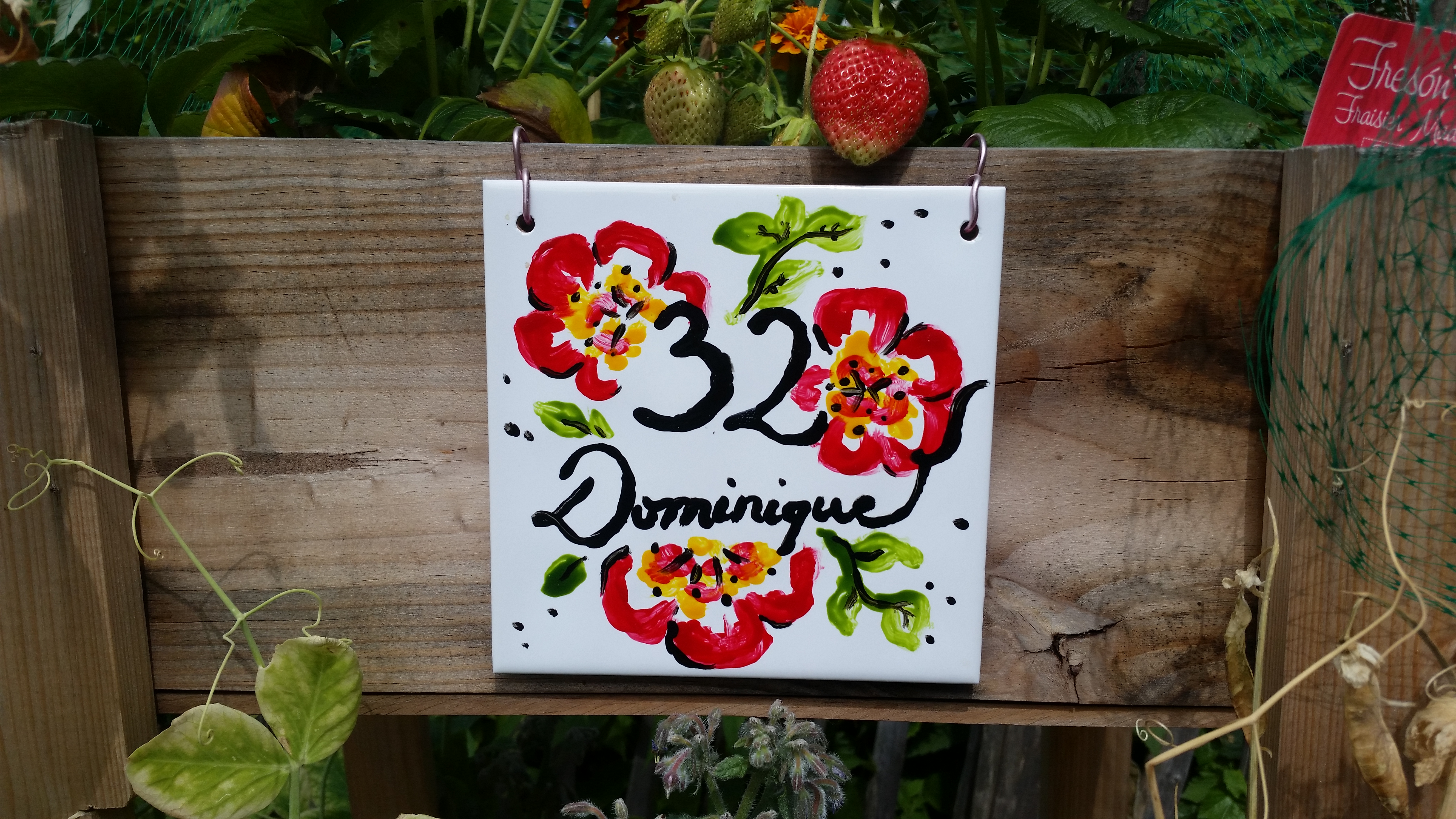 32 Dominique