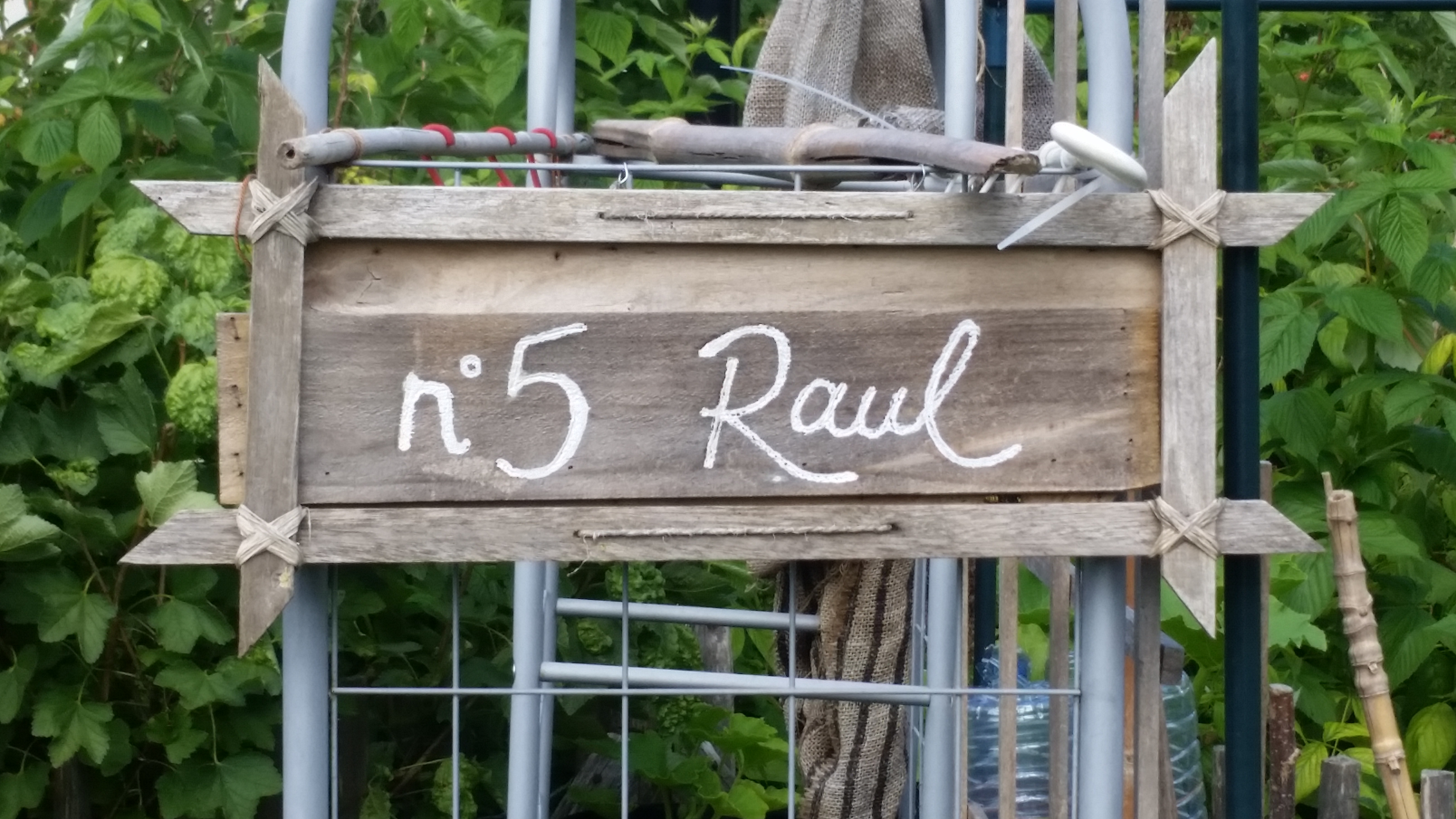 5 Raul